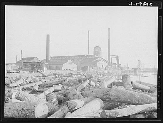 Log_Pond-Saw_Mill-Laurel_MS.jpg